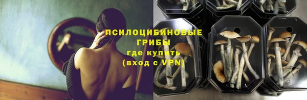 твердый Гусь-Хрустальный