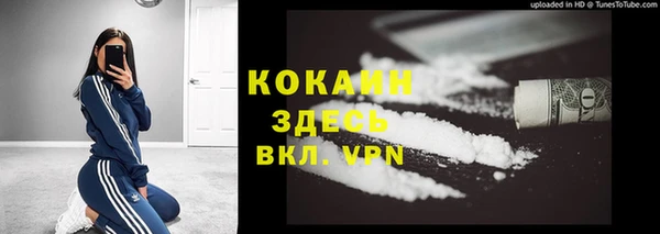 винт Гусев