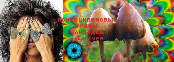 твердый Гусь-Хрустальный