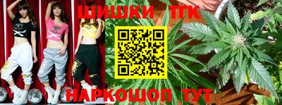 МДПВ Будённовск