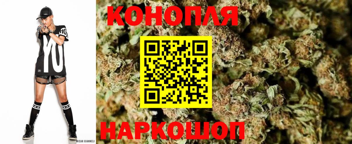 Шишки марихуана планчик  Вход с VPN  Канабис THC 21%  Касимов  МАРИХУАНА White Widow  Каннабис SATIVA & INDICA 